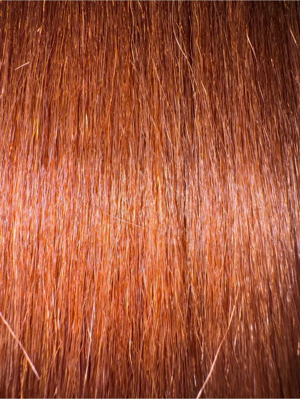 Lisa collection. 100% human hair. New yaky. 🌰